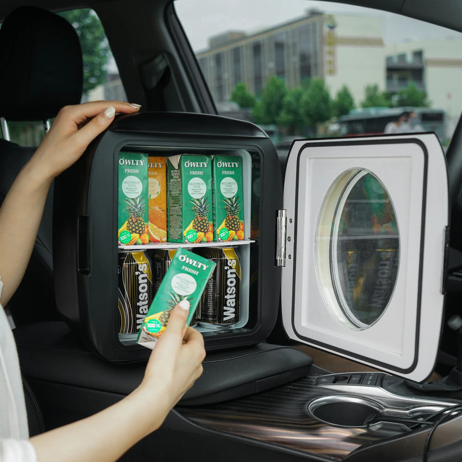 Mini Retro Beverage Cooler and Warmer 9 Liter Fridge