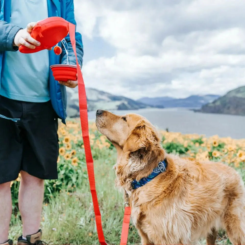 Introducing the Ultimate Detachable Retractable Dog Leash with Built-in Water Bottle and Bowl – Perfect for Outdoor Adventures!